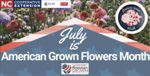 Cover photo for July Is American Grown Flowers Month